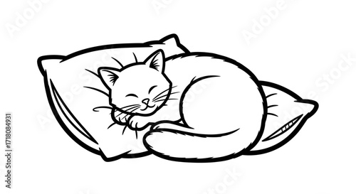 Cute Happy Cat Sleeping Soundly on a Soft Pillow, Isolated White Background