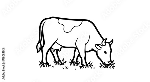 Peaceful Cow Grazing on Green Grass on an Isolated White Background