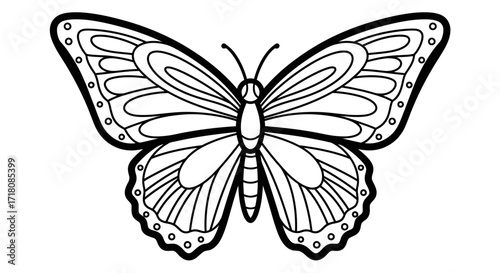 Delicate Butterfly with Detailed Wings on an Isolated White Background