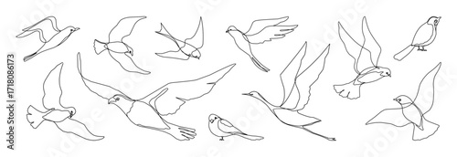 One line birds set. Seagull flying icon, hummingbird or parrot nature single outline gull. Simple elegant tattoo, migratory, doodle style songbird, freedom symbol. Vector logo isolated elements