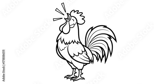 Majestic rooster crowing loudly to announce the morning, isolated white background.