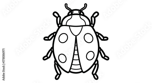 Cute Ladybug Insect with Spots for Kids Coloring Book, isolated white background.