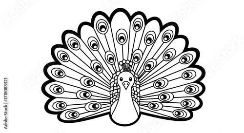 Elegant peacock proudly displaying its beautiful tail feathers on an isolated white background.