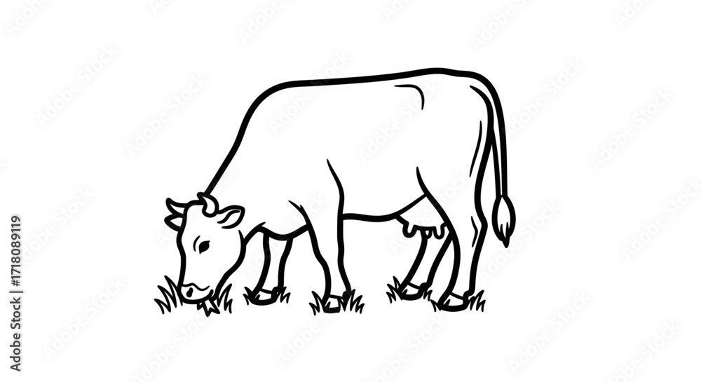 Obraz premium Gentle Farm Cow Grazing on Grass, Depicted on an Isolated White Background
