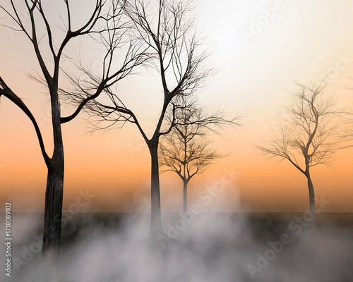 Winter Trees in Sunset Mist