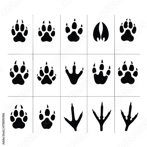 A collection of black silhouette animal tracks including paw prints bird footprints and a hoof print.