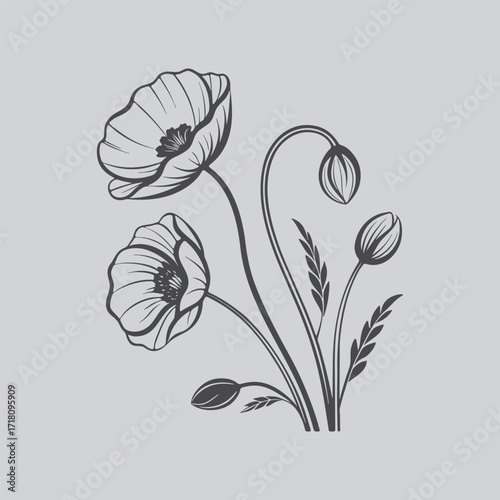 Black and White Poppy Line Art
