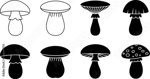 Mushroom Variety: A meticulously crafted, detailed illustration showcases a collection of distinct mushroom specimens, representing diverse forms.