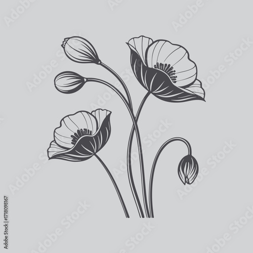 Elegant Poppy Stem Line Art Print