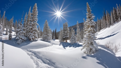 Serene winter landscape with clear blue sky, bright sun, snow covered ground, tall evergreen trees,