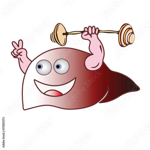 Cute Healthy liver cartoon. Happy liver, healthy organ concept. Vector illustration. World hepatitis day. Funny strong healthy liver cartoon character on white background