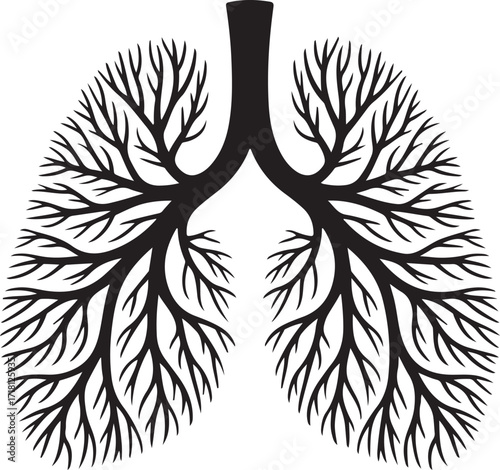 Anatomical Lungs Illustration