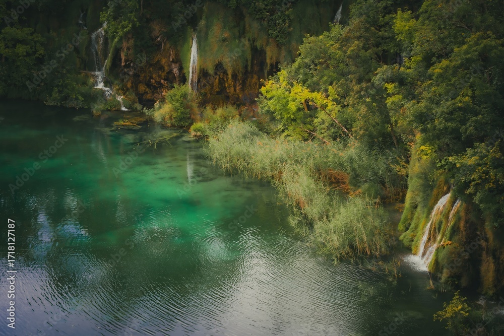 Obraz premium waterfall in the forest