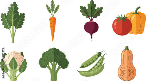 Colorful vegetable illustration set, kale, carrot, beetroot, tomato, bell pepper, cauliflower, broccoli, peas, squash, healthy food, organic produce