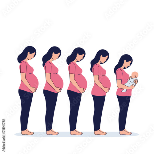 A visual representation of the stages of pregnancy from conception to the birth of a baby.