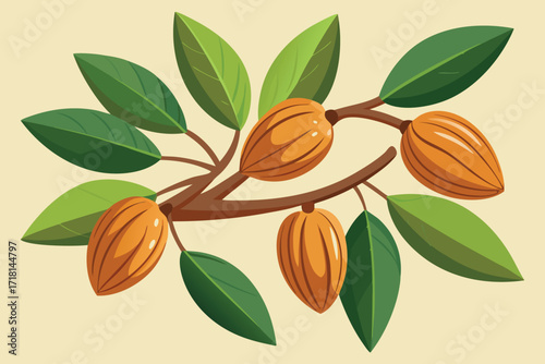 Cocoa Pods on Branch with Leaves Tropical Plant Illustration for Chocolate