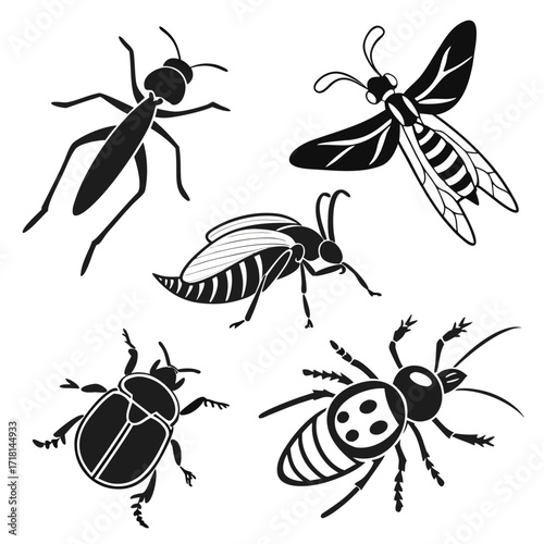 Assorted Insect Silhouettes beetle wasp