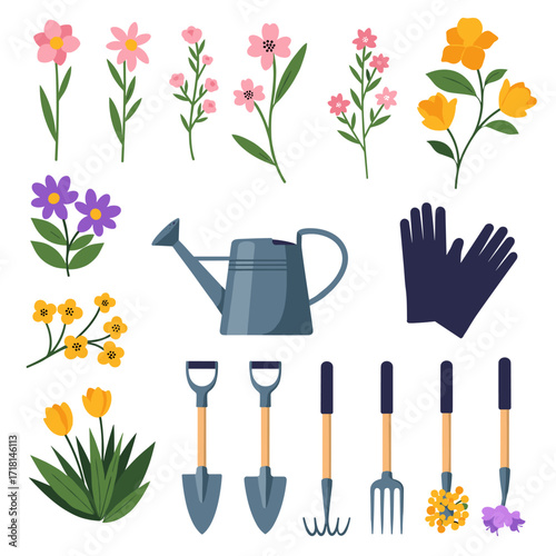 A collection of garden tools and flowers to beautify your outdoor space.