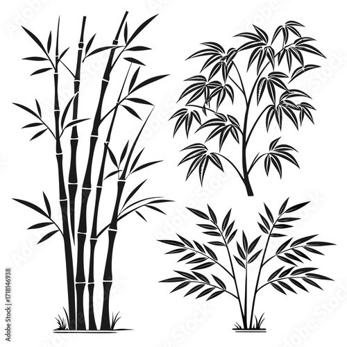 Black Silhouette Bamboo Plants And Bush On White Background