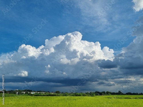 Sky-High: A breathtaking view of a bright, sunny day featuring dramatic clouds over a vibrant field. This idyllic scene embodies natural beauty and serenity.