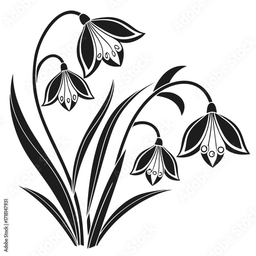 Black Silhouette Snowdrop Flowers with Leaves black and white