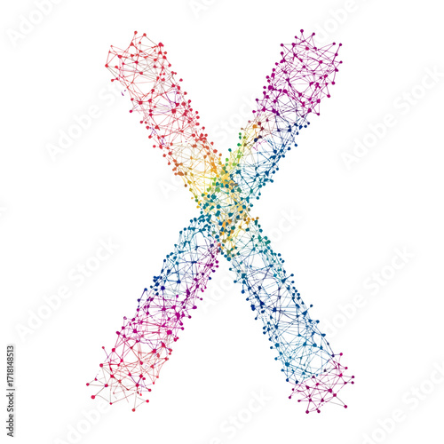 Colorful low poly wireframe X chromosome illustration with connecting nodes and lines in scientific genetic concept design on white background