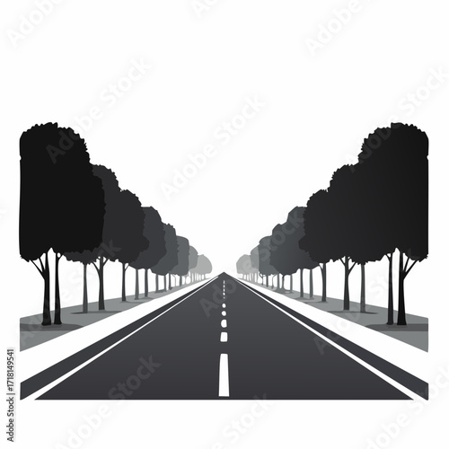 Straight road with trees on both sides, leading into the distance.