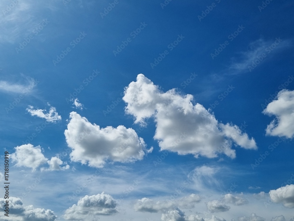 Fototapeta premium Cloudscape Serenity: A serene sky, vast and blue, is adorned with fluffy, cumulus clouds, each shaped uniquely, offering a moment of peace and vastness. 