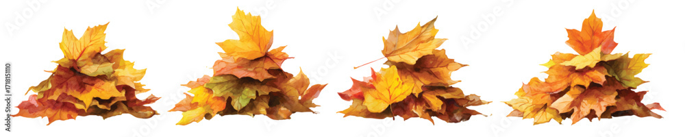 Fototapeta premium Dried autumn maple leaves stacked piles watercolor set isolated on transparent background