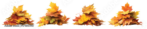 Dried autumn maple leaves stacked piles watercolor set isolated on transparent background