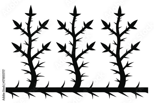 Three stylized black thorn branches isolated on white background, heraldic design