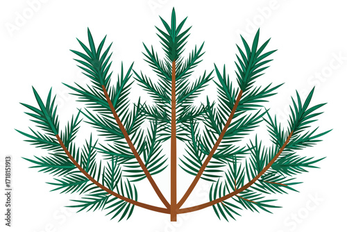 Stylized green pine branch isolated on white background, symmetrical design element