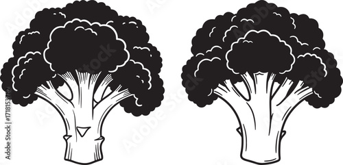 Two broccoli florets silhouette vector illustration
