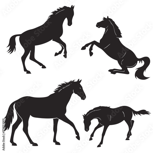 Four Black Horse Silhouettes with Diverse Poses Keywords: horse, silhouette, animal, equine