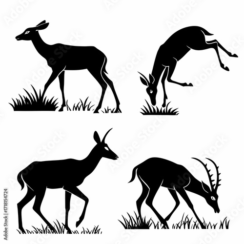 Four Silhouette Antelopes Grazing and Walking on White Background