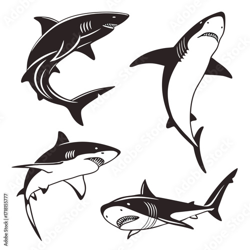 Group of Four Shark Silhouettes in Black and White