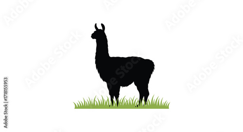 Silhouette of a llama standing in a grassy field illustration