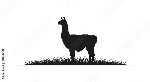 Silhouette of a llama standing in grassy field against a white background