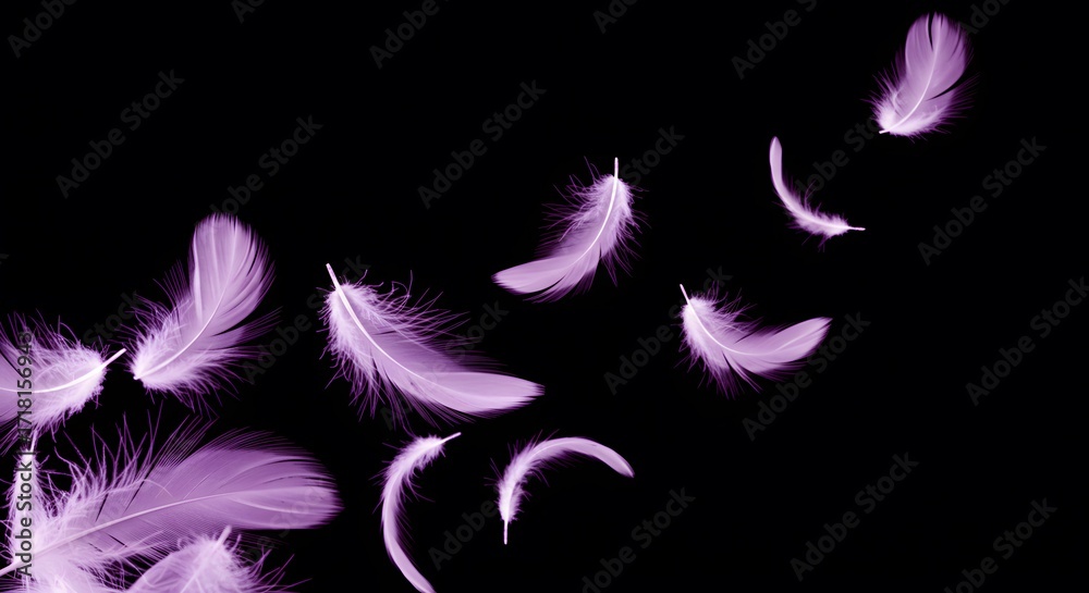 Obraz premium Floating purple feathers