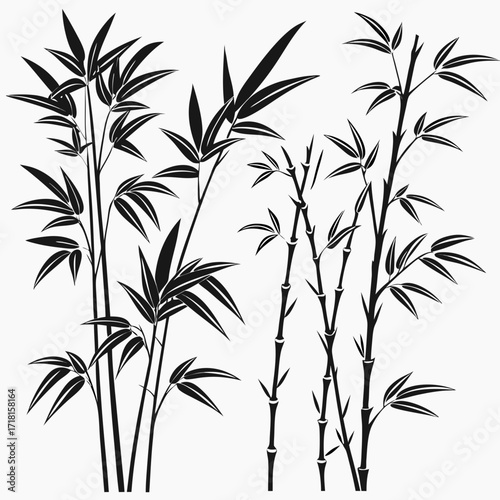 Multiple Bamboo Stalks and Branches in Black Silhouette
