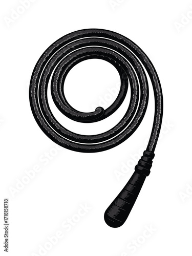 Black coiled whip with a dark handle on a white background