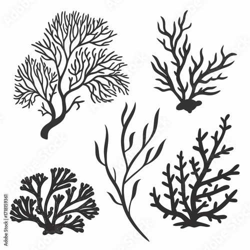 Silhouette Collection of Various Seaweed and Coral Shapes