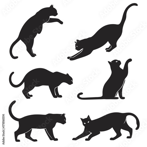 Six Black Cat Silhouettes in Different Poses animal