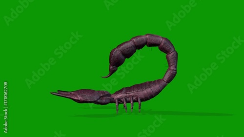 3D Scorpion Walking From Left Side-Rendering Animation On Green Screen