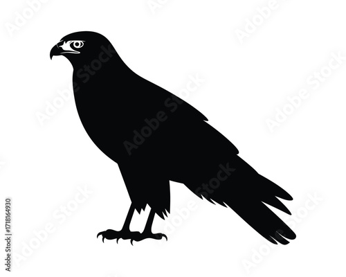 Simple black graphic of a predatory bird. Standing hawk or falcon silhouette vector for company logo or team mascot