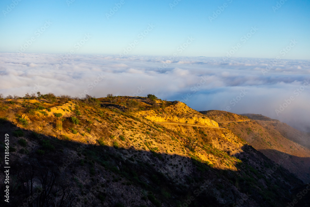 Fototapeta premium A wide-angle, high-angle view captures the scenic Pacific Palisades coastline from a dry hillside trail, with a low-lying marine layer of fog rolling over the Pacific Ocean below a clear blue sky in S
