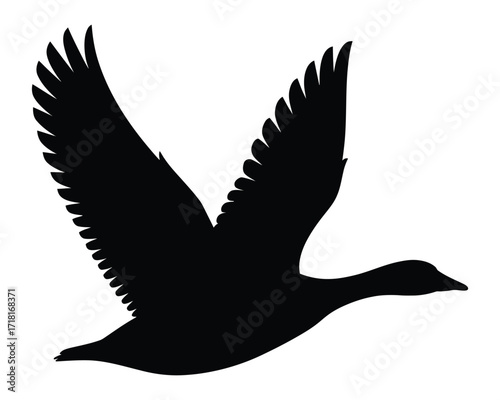 Elegant Black Silhouette of a Bird in Flight - Vector Illustration