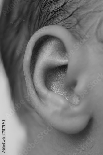 a newborn's ear