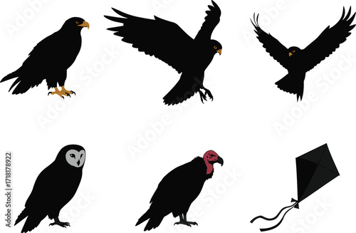 Silhouettes of diverse birds of prey, including hawks, an owl, and a vulture, showcasing various poses, from perching to flying