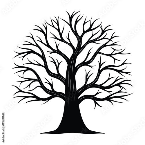 Silhouette of a bare, deciduous tree with intricate branches against white